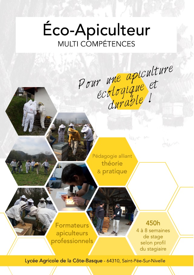 visuel apiculture