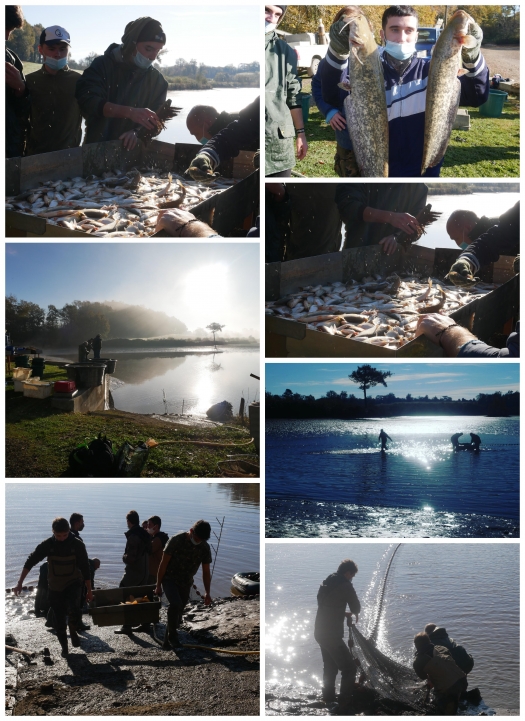 Pêche étang - BTS2 Aquaculture