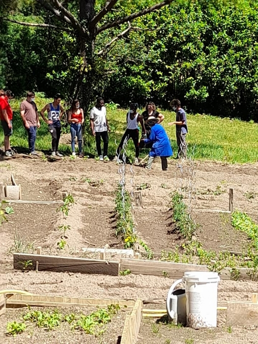 Plantation de cacahuètes par les élèves de deuxième année CAP Métiers de l'Agriculture