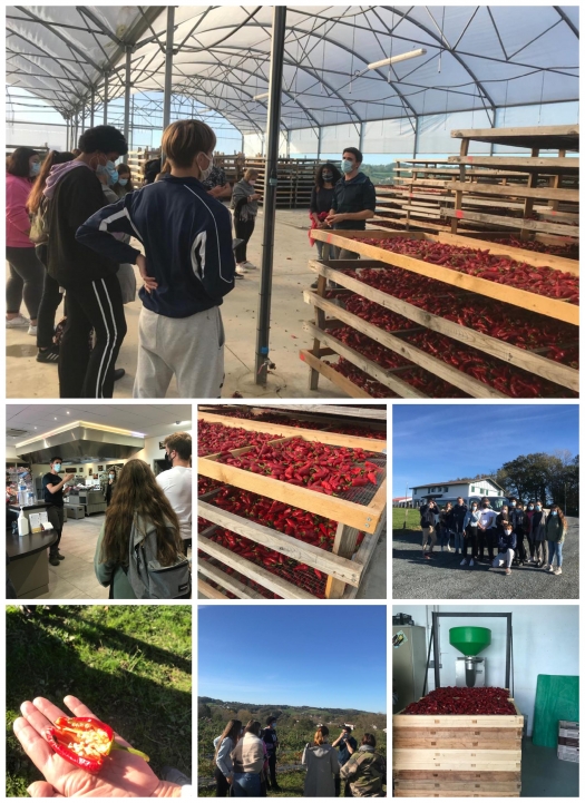 MIL Valorisation des BTS1 Aquaculture - Visite de l&#039;Atelier du Piment à Espelette