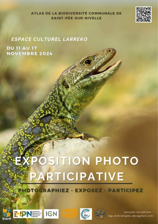 Exposition photo participative : photographiez, exposez, participez !