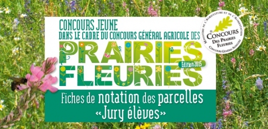 Visuel Concours Prairies Fleuries