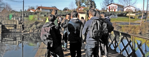 Visite de la pisciculture du lycée